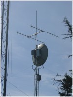 [6' Dish]