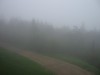 [Foggy]